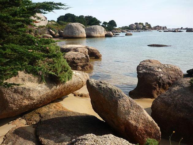 Appartement A Cote Du Port De Ploumanac'H Perros-Guirec Bagian luar foto